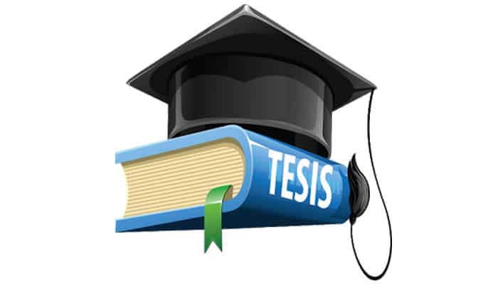 Tesis Andreas Widjaja, S. Si., M. Sc., Ph. D.